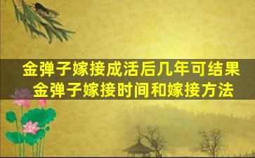 金弹子嫁接成活后几年可结果 金弹子嫁接时间和嫁接方法